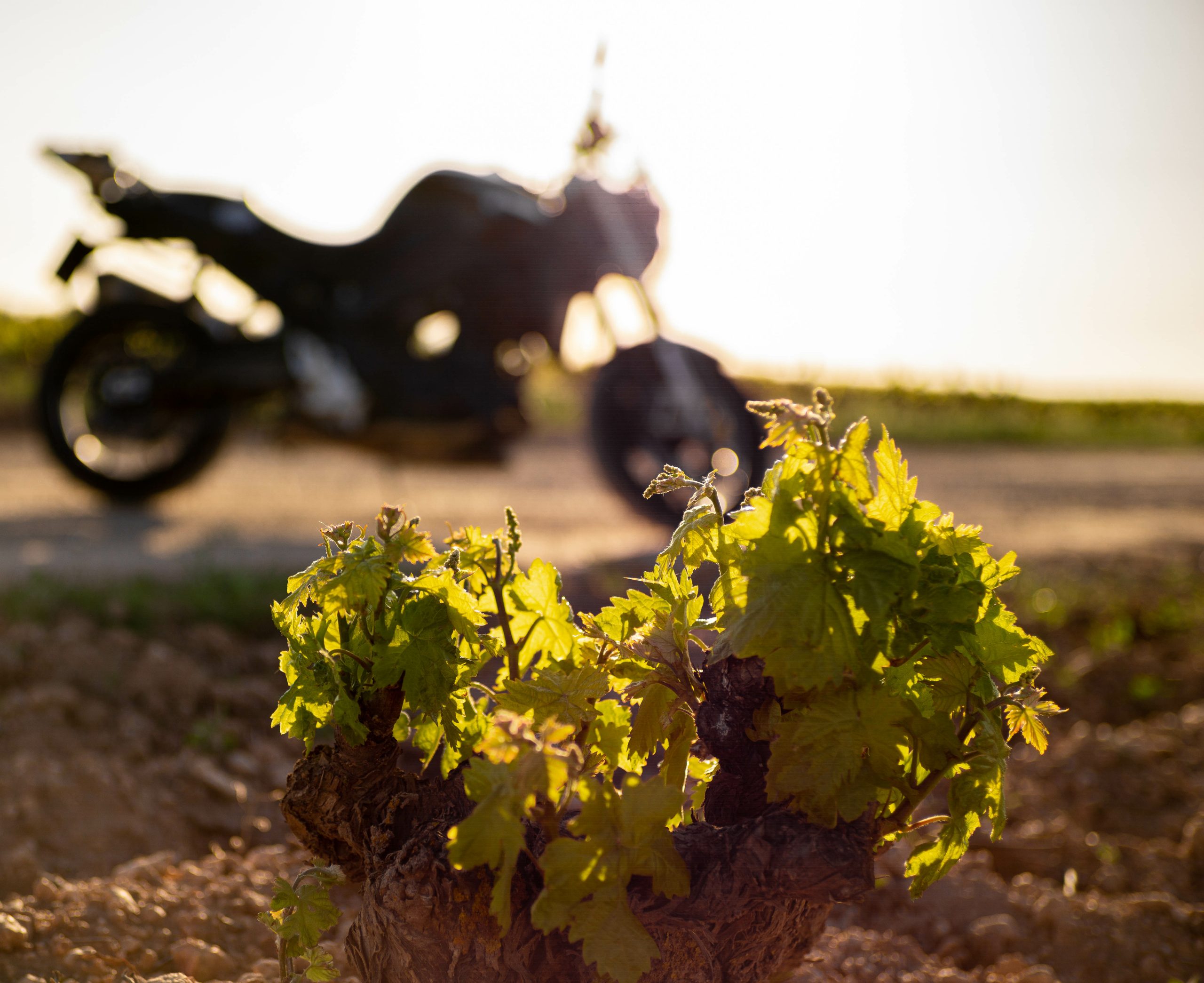 Mototurismo La Rioja